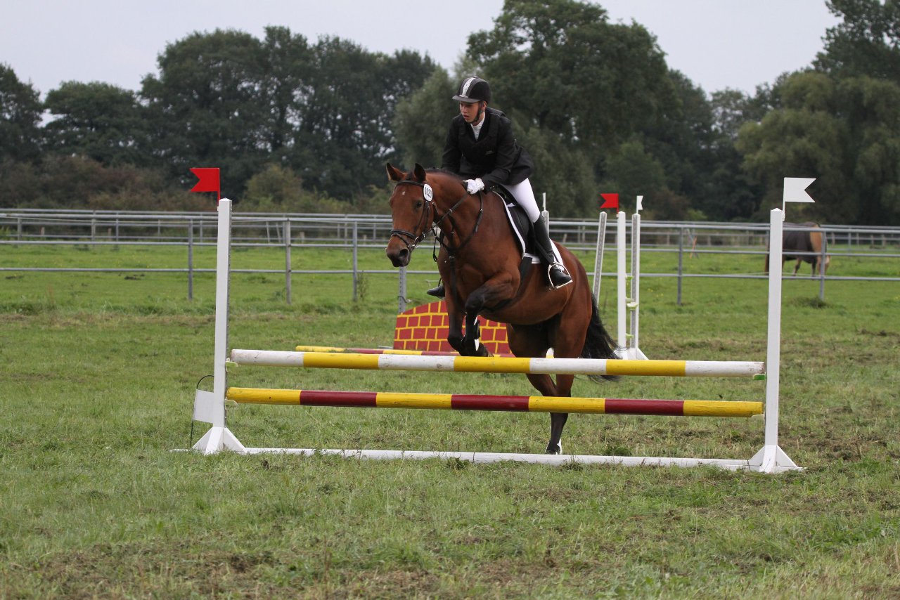 Bild 1442 - WBO-Turnier am 18.9.11